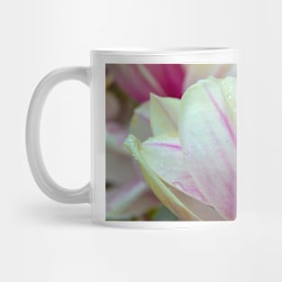 Rain on Magnolia Mug